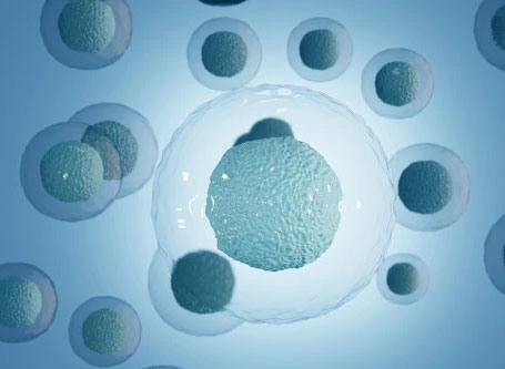 细胞及基因治疗