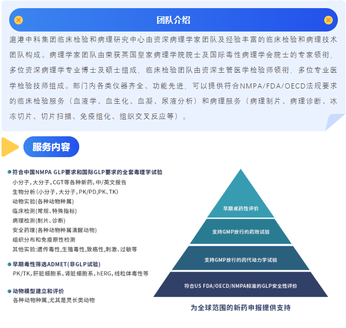 喜報丨安領榮獲2024度毒性病理形態學檢查能力驗證優秀證書